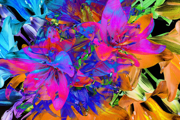 istock Set of fresh abstract lilly. Summer flowers 492447569