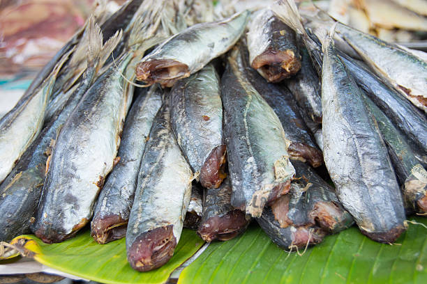 istock Dried fish at the Market in Cha-am, Thailand 492449788