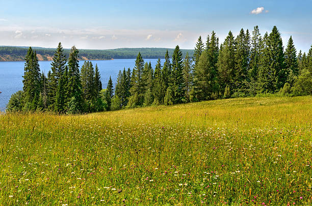 istock Cirrus clouds sky forest  meadow hills 492450006