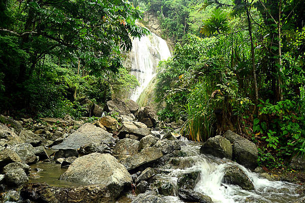 istock Waterfalls and river photo 492451180