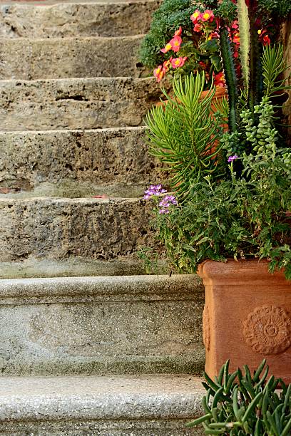 istock pienza - stairs and plants ( detail) 492451514
