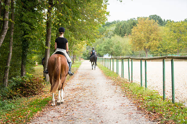 istock Young Woman Riding Her Horse 492453250