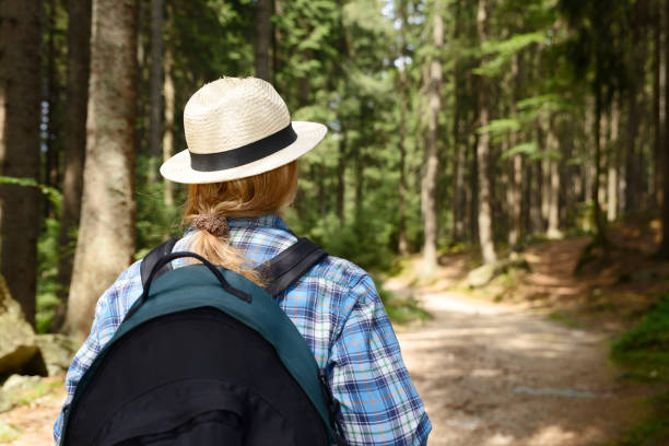 istock Woman hiking in the woods 492453664