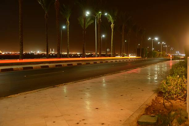 istock Night road with palm trees and lanterns 492454168