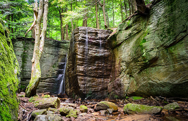 750+ Foresta Nazionale Di Allegheny Foto stock, immagini e fotografie