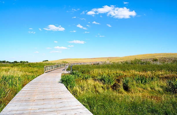istock Agate Fossil Beds National Monument 492454954