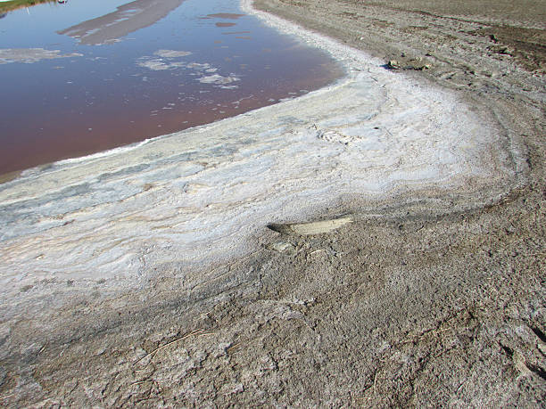 istock Salt Beds Exposed by the California Drought Conditions 492456584