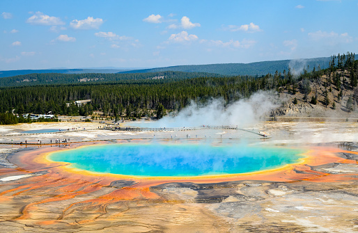 Hot spring and geyser with deep aqua cave and wilderness background at Yellowstone National Park, USA.