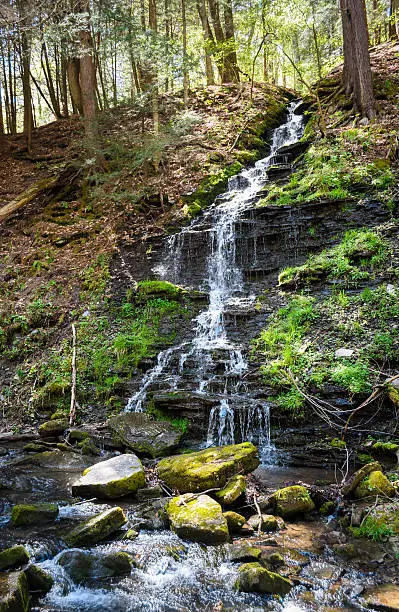 Photo of Allegany State Park