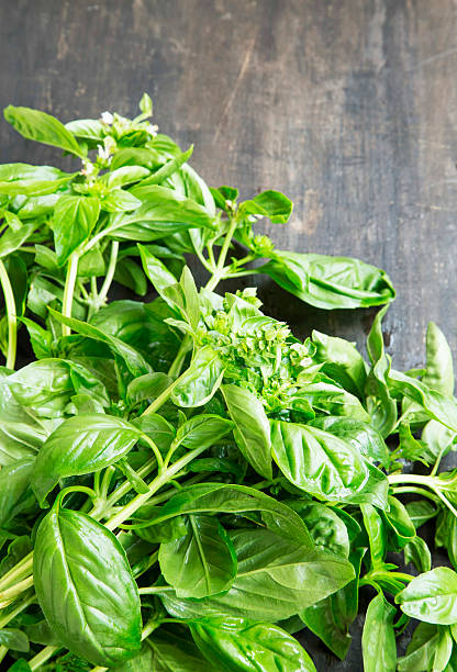 istock Bunch of Fresh Organic Basil 492458832