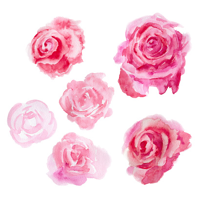 Watercolor Flowers Roses Stock Illustration - Download Image Now ...