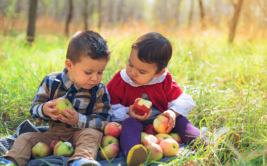 two little kids eating apples in the park