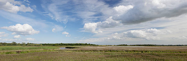 istock River Alde and surroundings at Snape, Suffolk, UK 492460632