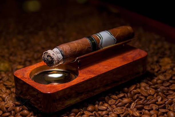 istock closeup a cigarette in the ashtray 492461418
