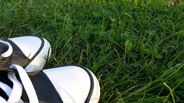 istock Sneakers close up on a green lawn 492461568