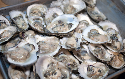 Shucked oysters piled high on a tray