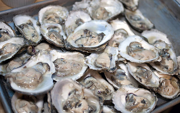 ostras - prepared oysters prepared shellfish shucked seafood - fotografias e filmes do acervo