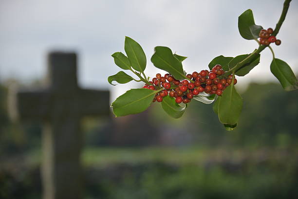 istock Holly full of Berries 492464442