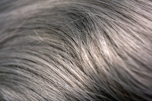 macro shot of gray hair texture, shiny light on it.textured and backgrounds.