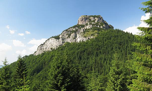 istock Maly Rozsutec mountain in Mala Fatra mountains 492484794