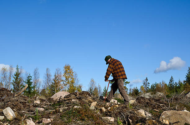 Man planting trees stock photo