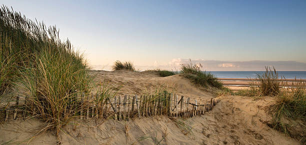 istock Beautiful sunrise over sand dunes system on yellow sand golden 492486700