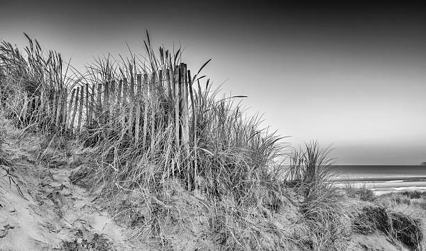 istock Beautiful sunrise over sand dunes system on yellow sand golden 492486762