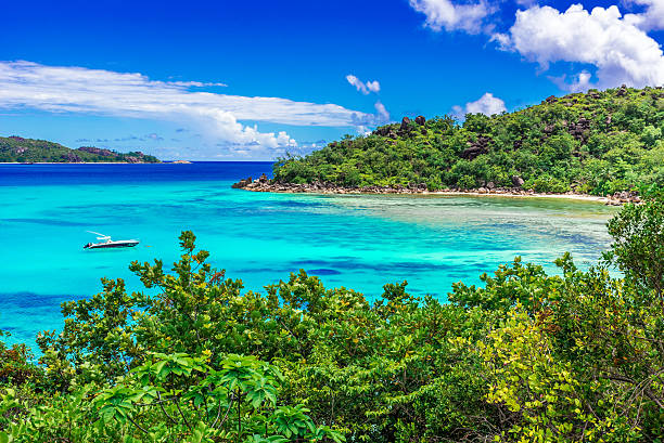 istock Yacht in paradise bay 492488160