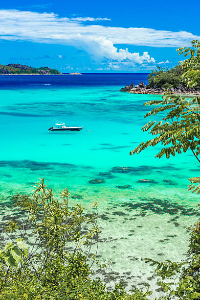 istock Yacht in paradise bay 492489062