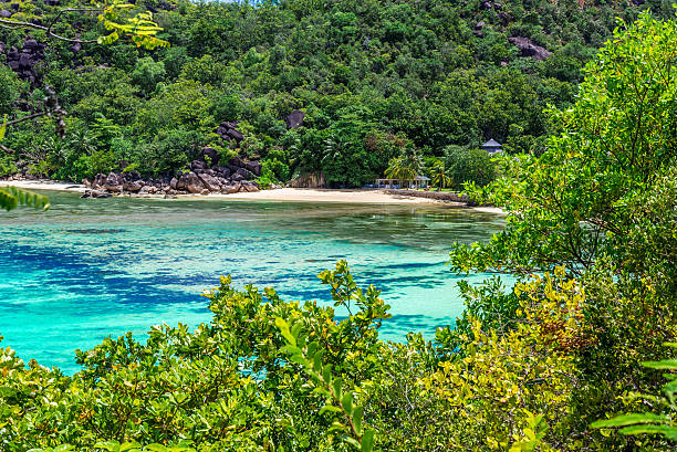 istock Tropical beach on paradise island in Seychelles 492489566