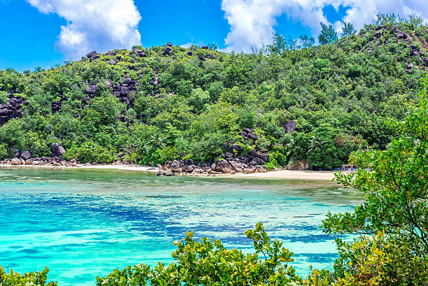 istock Tropical beach on paradise island in Seychelles 492490040