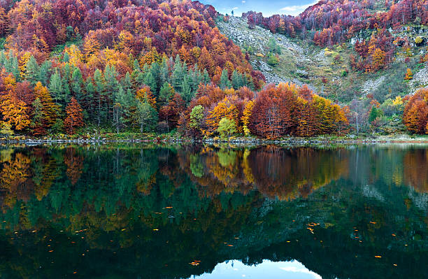 istock autumn is reflected in the water 492490698