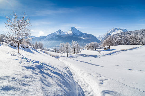 winter wonderland пейзаж с hiking trail в альпах - house wood dirt road footpath стоковые фото и изображения