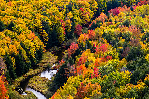 istock Falls colors at Carp river, Porcupine Mountains State Park 492492076