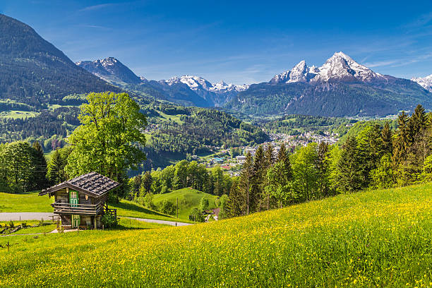 istock Idyllic landscape in the Alps with mountain chalet in springtime 492492450