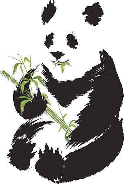 ilustrações, clipart, desenhos animados e ícones de panda - bamboo bamboo shoot green isolated