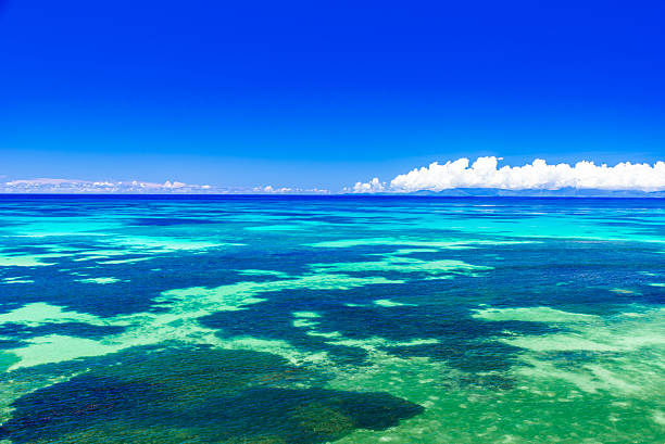 istock Tropical Ocean view with coral reef 492494724