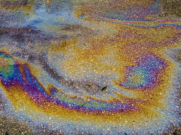istock oil and water pollution 492495756