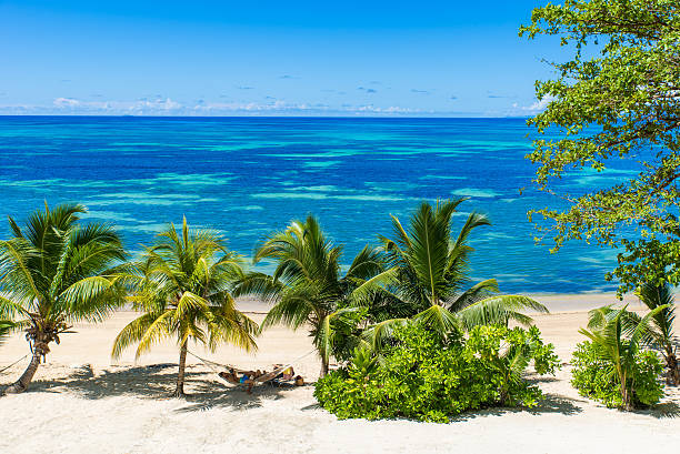 istock Hammock at tropical beach on paradise island 492496052
