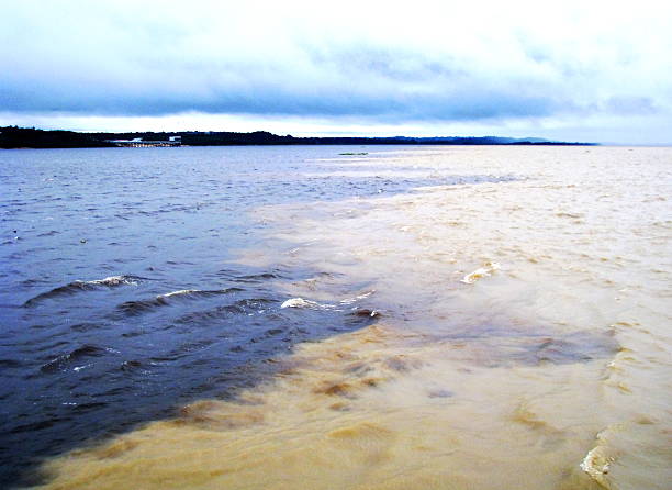 Amazon River - Meeting of waters