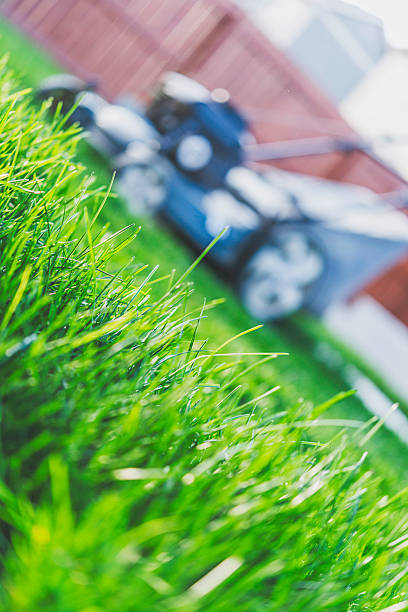 istock Man pushing lawnmower through thick back yard grass. Mowing. 492496296