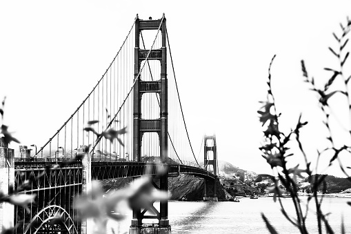 Golden Gate bridge,San Francisco,California,USA in black and white