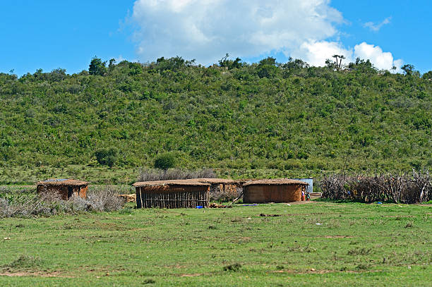 istock Wooden house 492497365