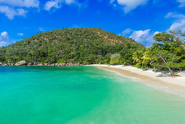 istock Anse Kerlan - Tropical beach in Seychelles, Praslin 492498750