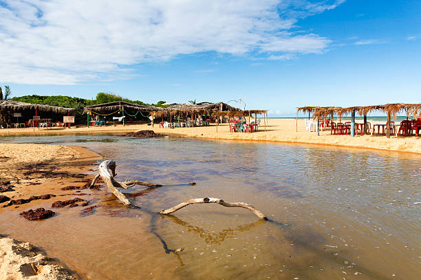 istock Sweet Creek beach Bahia sand dune Espirito Santo 492499239
