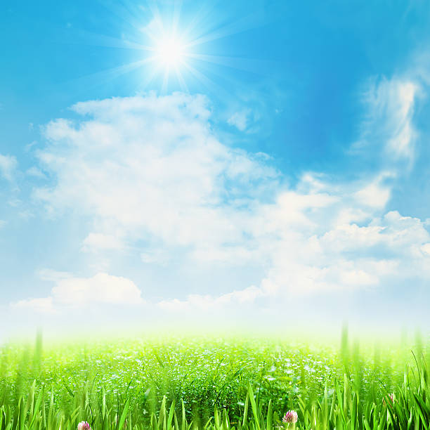istock Beauty summer meadow under blue skies 492500731