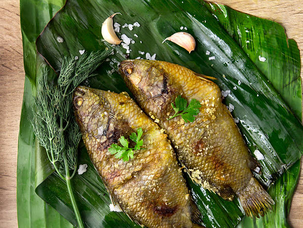 istock Delicious grilled fresh fish on dark stone background 492508152