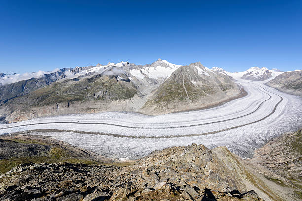 ледник алеч, aletschgletscher, европейские альпы - aletsch glacier european alps mountain range eiger стоковые фото и изображения
