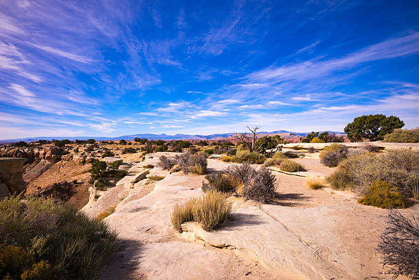 istock Landscape with sandstone,cliffs,trees, mountains, clouds, Utah,USA 492511038