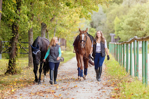 Women bringing back home horses from horseback riding